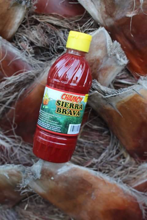 EL HUERTO ALATORRE_001